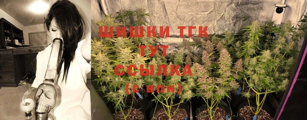 прущая мука Богданович