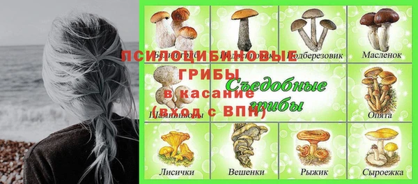круглые Белокуриха