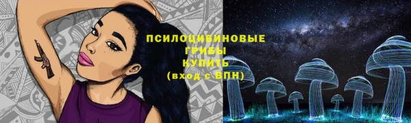 хмурый Богородск