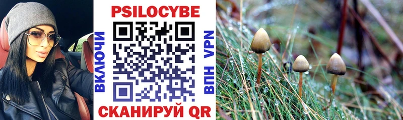 наркошоп Полесск гидра ССЫЛКА Псилоцибиновые грибы Magic Shrooms